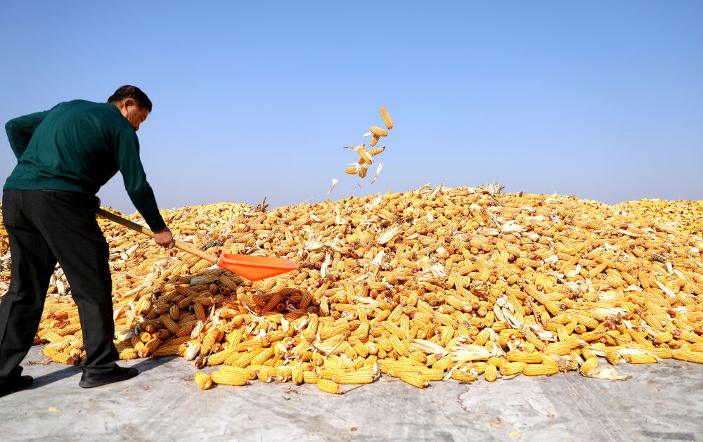 1698377259138262.png 图片3.png