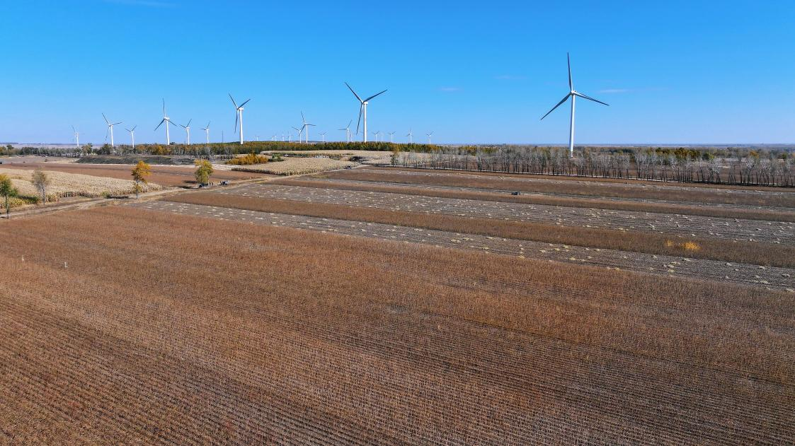 1700118177347287.png 图片1.png